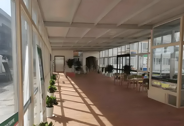 邪魅首席靠边站